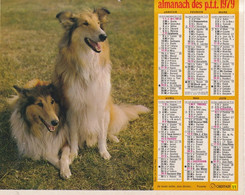 Calendrier De La Poste, Almanach Du Facteur: 1979, Lévriers, Basset - Grand Format : 1971-80