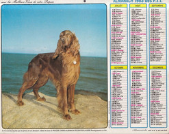 Calendrier De La Poste, Almanach Du Facteur: 1983: Setter Irlandais, Malinois, Ed. Lavigne - Grossformat : 1971-80