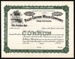 19__ North Carolina: Pilot Cotton Mills Company - Textile