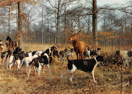 CHASSE A COURRE , Dans Les Forêts De France Par Barbier Petit , Ed. Yvon Cpsm GF ( ͡♥ ͜ʖ ͡♥) ♥ - Chasse