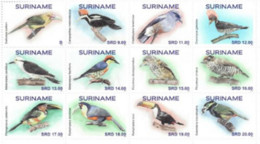 Suriname 2021, Tropical Birds, 12val - Pappagalli & Tropicali