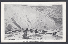 Rare Old Printed Vintage Size Postcard Sea Lion Rookery Falkland Islands - Falkland Islands