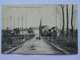 CPA 37 Indre Et Loire - CLERE - Vue Générale Prise De La Scierie - Cléré-les-Pins