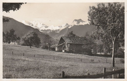 AESCHI - Landschaft Mit Blümlisalp - Aeschi Bei Spiez