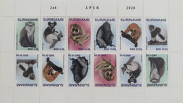 Suriname 2020, Monkeys, Sheetlet - Monkeys