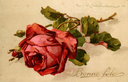 Catharina KLEIN Klein * CPA Illustrateur * éditeur L & B N°16820 * Fleur Rose Bonne Fête - Klein, Catharina