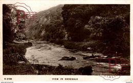 VIEW IN DOVEDALE - Derbyshire
