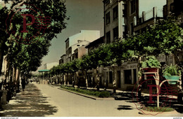 LA RIOJA SANTO DOMINGO DE LA CALZADA AVDA AVENIDA GENERAL FRANCO - La Rioja (Logrono)