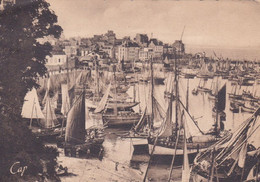 QR - DOUARNENEZ - Le Grand Port Au Retour Des Barques  (neuf) - Douarnenez