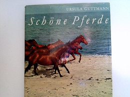 Schöne Pferde. - Animales