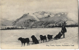 Etats -unis  -  Alaska   -  Dog  Team , Valdez , Fairbank 's  Trail - Fairbanks