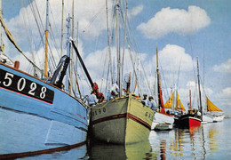 ¤¤   -   ETEL   -    Thoniers   -  Bateaux De Pêche     -   ¤¤ - Etel