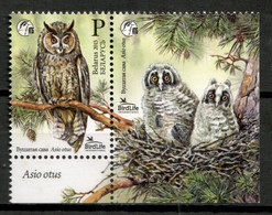Belarus 2015 Bielorrusia / Birds Owl MNH Aves Vögel Oiseaux Uccelli / Cu20047  3-6 - Zonder Classificatie