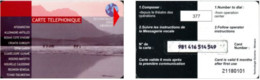 Carte Prépayée - France - Economat Des Armées - Carte Téléphonique (camels & Mountains) - Reverse 1 -  Cartes à Usage Militaire