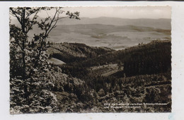 5950 FINNENTROP - WEUSPERT, Blick Ins Frettertal, 1962 - Olpe