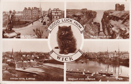 ECOSSE(WICK) CHAT - Caithness