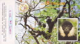 China - The 1st Class Protected Animal White-checked Gibbon (Hylobates Leucogenys) At YN, Prepaid Card, Posted - Monkeys