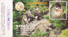China - The 1st Class Protected Animal Yunnan Snub-nosed Monkey (Rhinopithecus Bieti) At YN, Prepaid Card, Posted - Monkeys