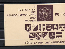 AG2-29 Liechtenstein Entiers Postaux  N° Couverture Carnet Vide  En Parfait état  A Saisir !!! - Stamped Stationery