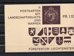 AG2-29 Liechtenstein Entiers Postaux  N° Couverture Carnet Vide  En Parfait état  A Saisir !!! - Entiers Postaux