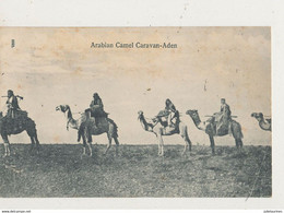 ARABIAN CAMEL CARAVAN ADEN  CPA BON ETAT - Yémen