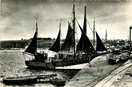 Camaret * Les Langoustiers Dans Le Port - Camaret-sur-Mer