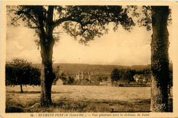 Guémené Penfao * Vue Générale Vers Le Château De Juzet - Guémené-Penfao