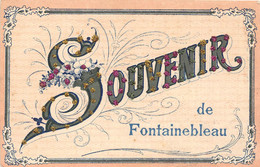 77-FONTAINEBLEAU- SOUVENIR DE FONTAINEBLEAU - CARTE A PAILLETTES - Fontainebleau