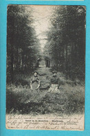 * Westmalle (Antwerpen - Anvers) * (nr 6) Dreef In De Bossen, Hooibraak, Drève Dans Le Bois, Animée, Femme, Old - Malle