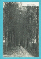 * Zandhoven - Santhoven (Antwerpen - Anvers) * (Uitg. Ed. Masen) Begijnen Bosdreef, Drève, Animée, Vélo, Bois, Old - Zandhoven