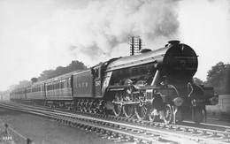 ¤¤   -    Chemin De Fer Du ROYAUME-UNI    -  Carte-Photo D'une Locomotive à Vapeur  -  Train   -   ¤¤ - Trenes