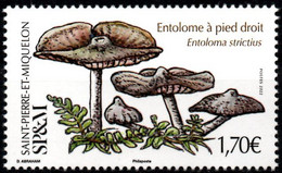 St Pierre Et Miquelon 2022 - Champignons - 1 Val Neufs // Mnh - Unused Stamps
