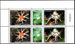 Nouvelle-Calédonie 2021 - Champignons - Bloque De 4 Avec Coin Daté Neufs // Mnh - Unused Stamps