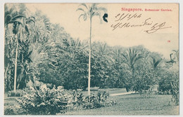 CPA - SINGAPOUR - Botanicer Garden - Singapore