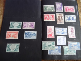 Nouvelle Calédonie Pages D'albums Dont Séries Exposition Paris 1931 Et 1937 Timbres Neufs Avec Charnières - Collezioni & Lotti