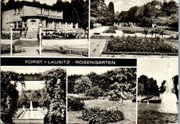 33482 - Deutschland - Forst , Lausitz , Rosengarten , Mehrbildkarte - Forst