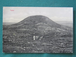 French Levant Palestine (Israel) 1902 - 1920 Unused Postcard "Mount Tabor" - Palestina