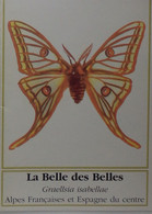 Petit Calendrier De Poche 1995 Papillon La Belle Des Belles - Pharmacie Samoreau Seine Et Marne - Klein Formaat: 1991-00