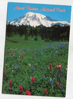 AK 055881 USA - Washington - Mount Rainier National Park - Sonstige