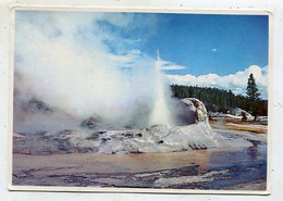 AK 055909 USA - Wyoming - Yellowstone National Park - Upper Geyser Basin - Grotto Geyser - Yellowstone