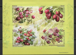Russia 2022, Flora Of Russia Series, Berries, Block, XF MNH** - Unused Stamps