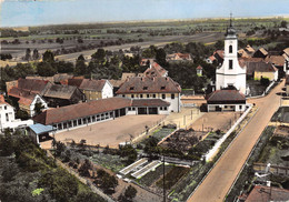 67-BINDERNHEIM- L'EGLISE ET L'ECOLE VUE DU CIEL - Other & Unclassified