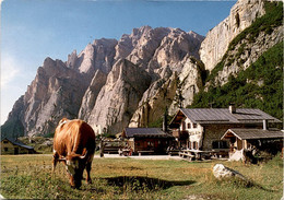 Malga Lagazuoi - Dolomiti - Rifugio Scotoni * 29. 6. 1984 - Autres Villes