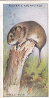 27 Field Vole  - Animals Of The Countryside 1939  - Original Players Cigarette Card - Wildlife - Player's