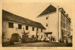 Cauneille * Le Sanatorium Du Village * établissement Médical - Autres & Non Classés
