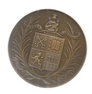 JC, Médaille, Bronze, Université Catholique De LILLE , Mahieu , Graveur, 60 Gr , Dia. 50 Mm , Frais Fr 3.35 E - Professionals / Firms