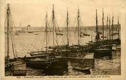 Camaret Sur Mer * Les Bateaux Au Port , Avant Le Départ Pour La Pêche - Camaret-sur-Mer