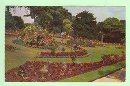 T1400 - ANGLETERRE - The Arboretum NOTTINGHAM EJNO 612 - Nottingham