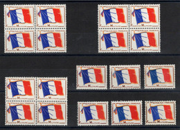 Franchise - YV 13 N** En 18 Exemplaires Cote 9 Euros - Franchise Stamps