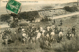 Les Sables D'olonne * Promenade à Dos D'âne Sur La Dune - Sables D'Olonne